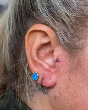 Tragus